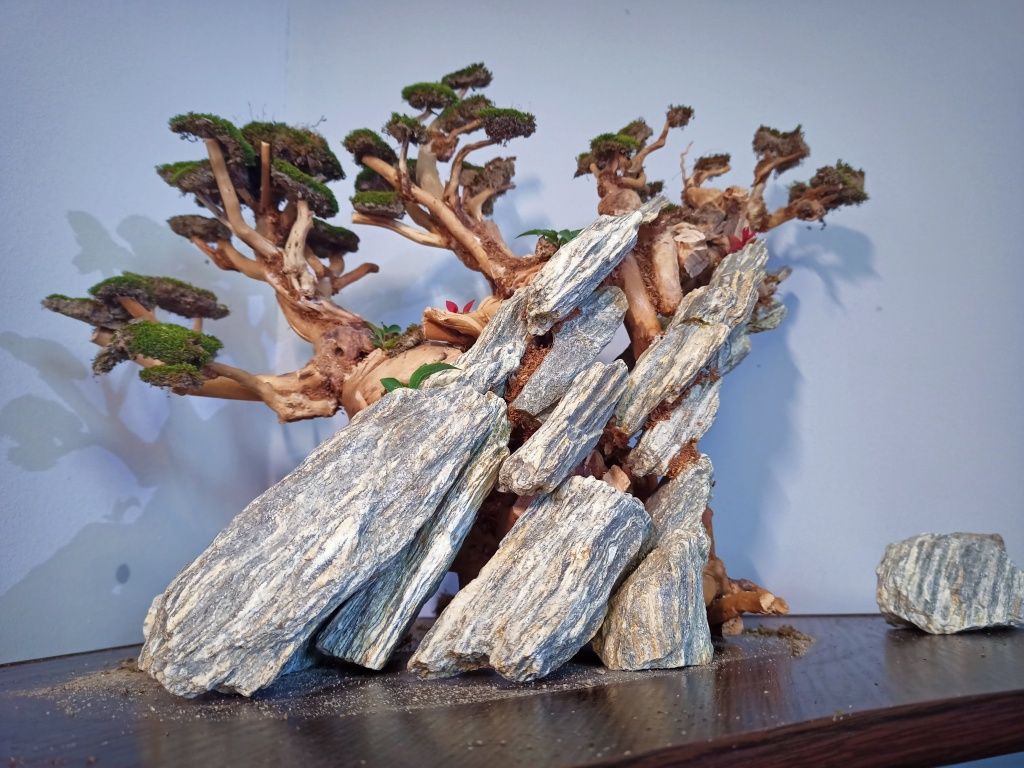 Коряга для аквариума, бонсай для аквариума, декор: 1 600 грн ...