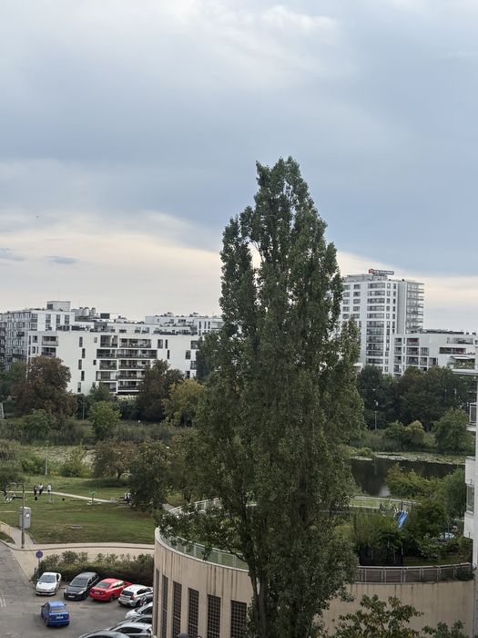 Zdjęcie 3