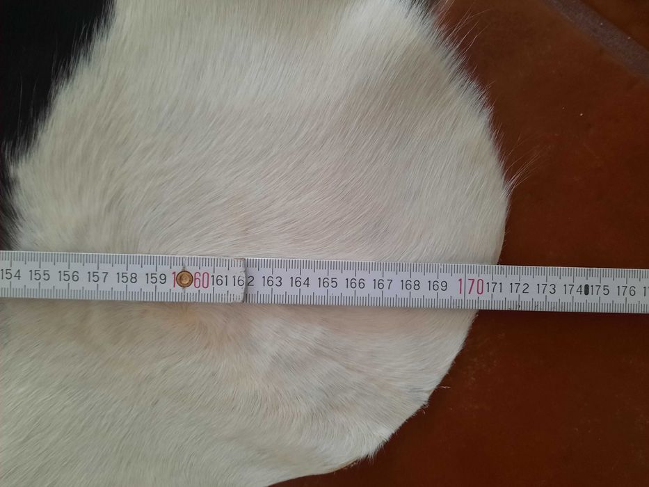 Tapete pele de vaca Koldby