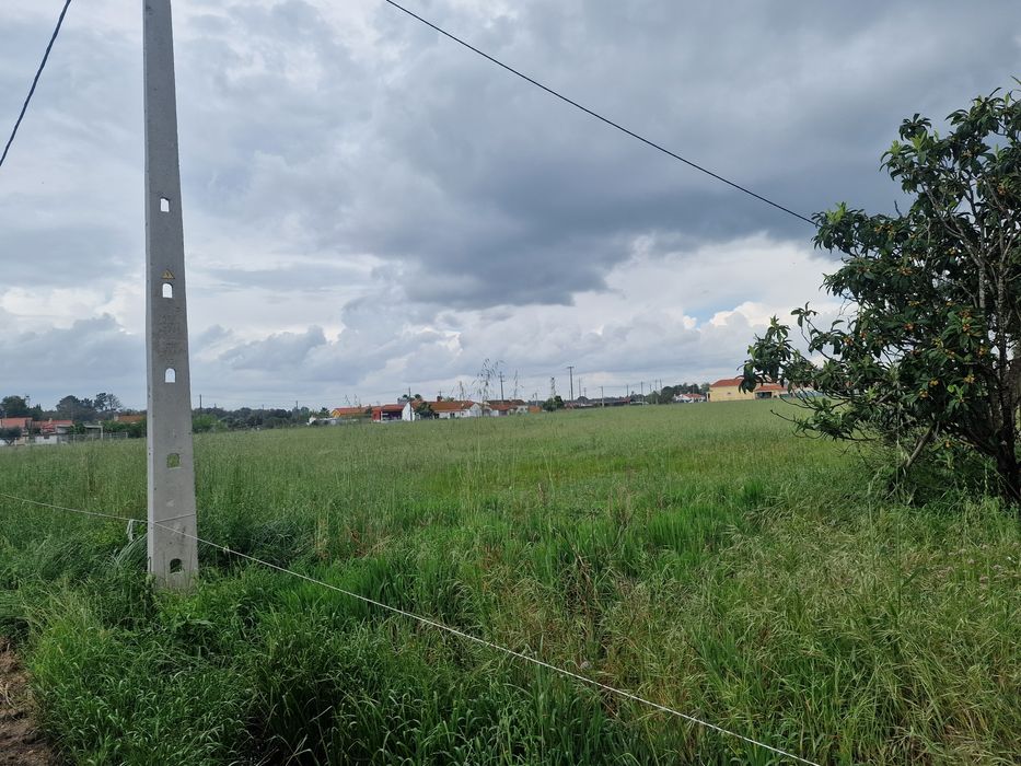 Terreno em Salvaterra de Magos