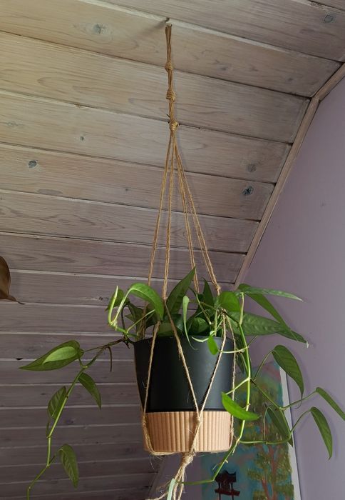 Minimalistyczny wiszący kwietnik sznurkowy / makrama boho na roślinę