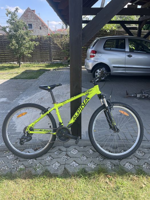 Rower ALPINA eco 20m 385mm
