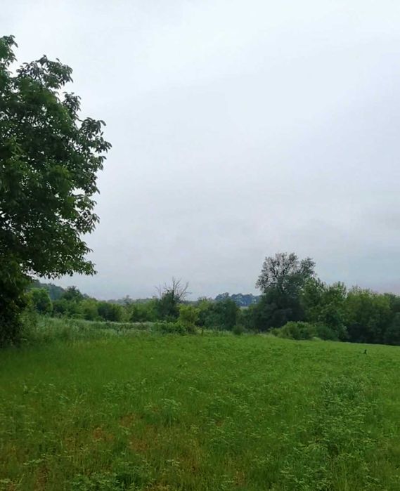 35 соток з будинком біля річки — за ціною 1-кімнат квартири | 47 000 $