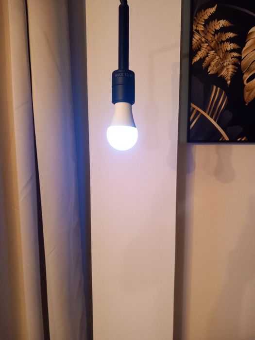 Żarówka E27 LED Ozdobna + Pilot 16 Kolor Livarno