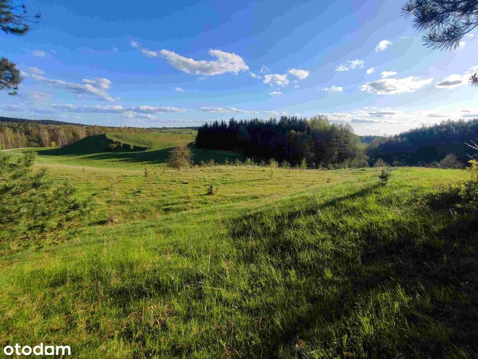 Siedlisko 7561 m², własny brzeg jeziora i las