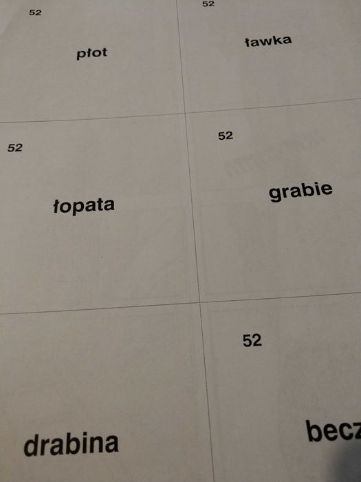 Od obrazka do słowa