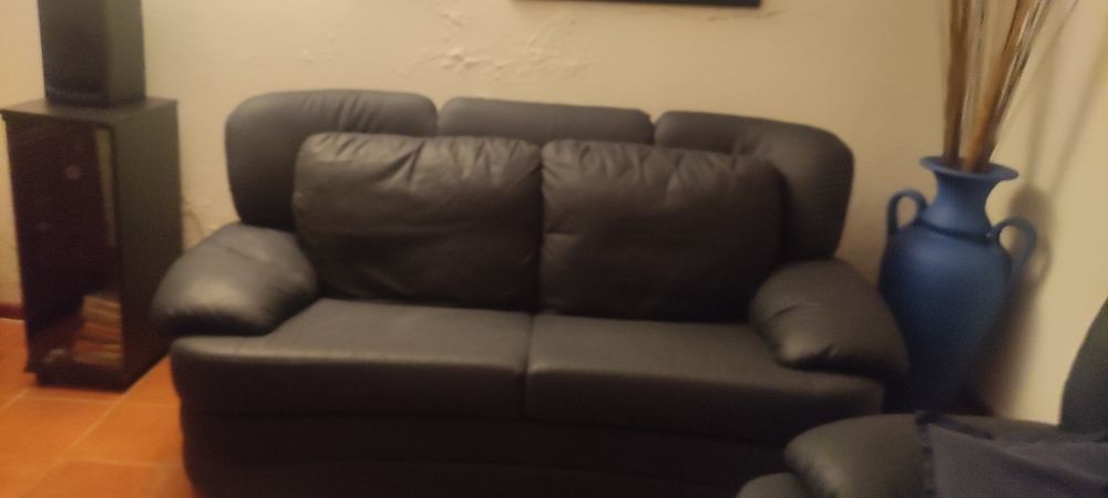 Conjunto de 2 sofás em eco pele