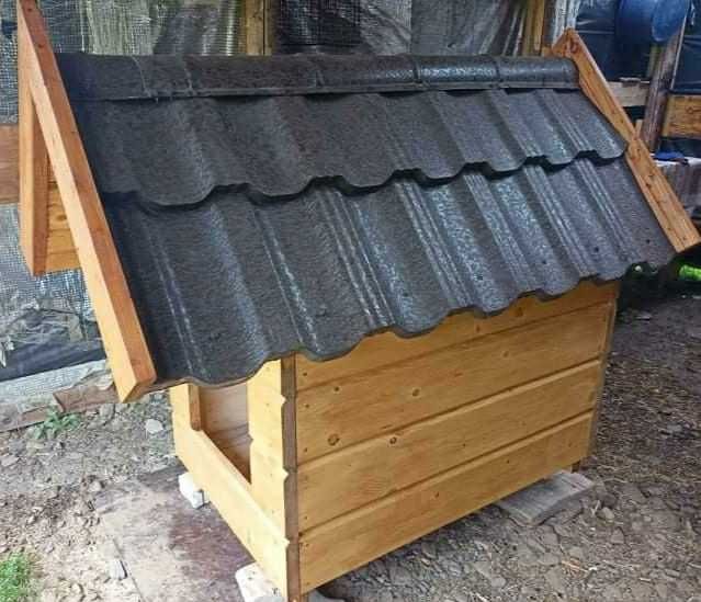 Собача     будка