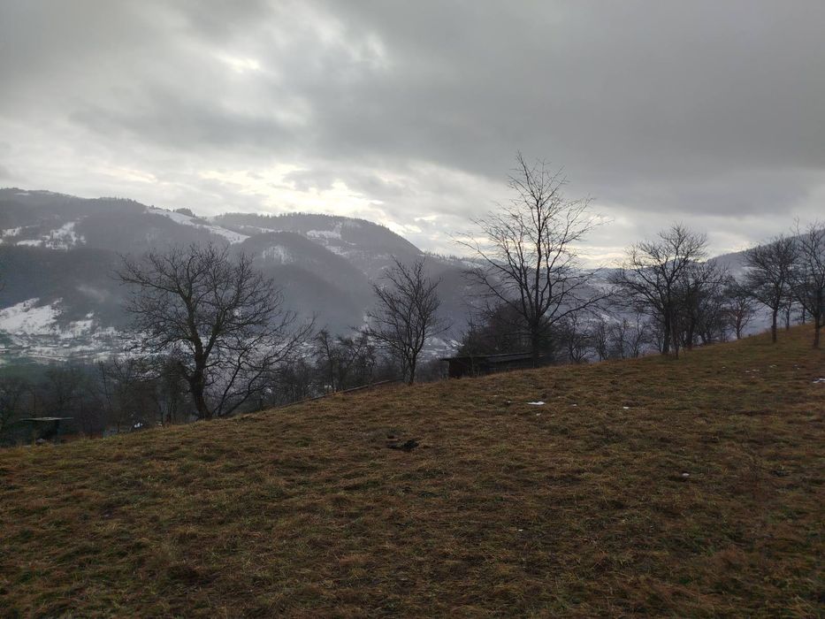 Будинок в Карпатах