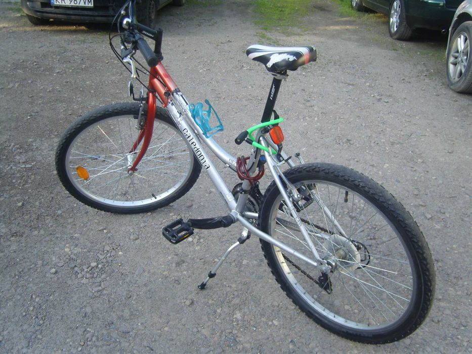 Rower Górski Caledonia  MT240  24