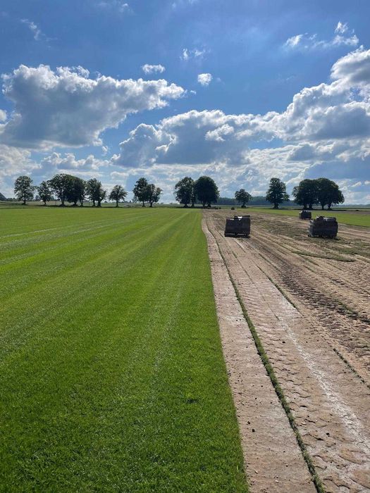 Trawa Z Rolki / PRODUCENT / Transport