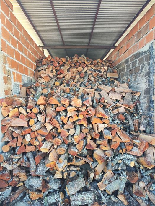 Lenha rachada de azinho