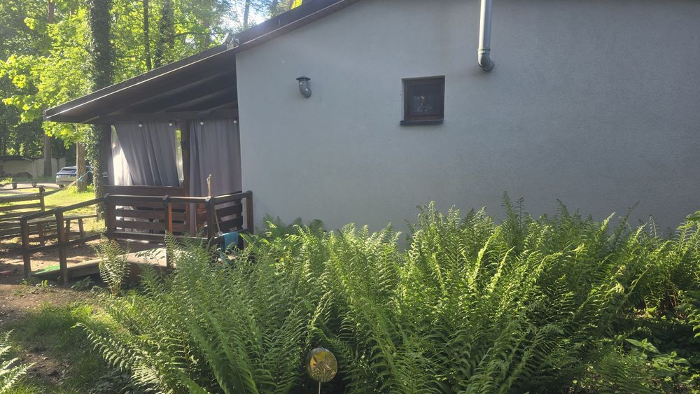 Domek letniskowy Głębokie.