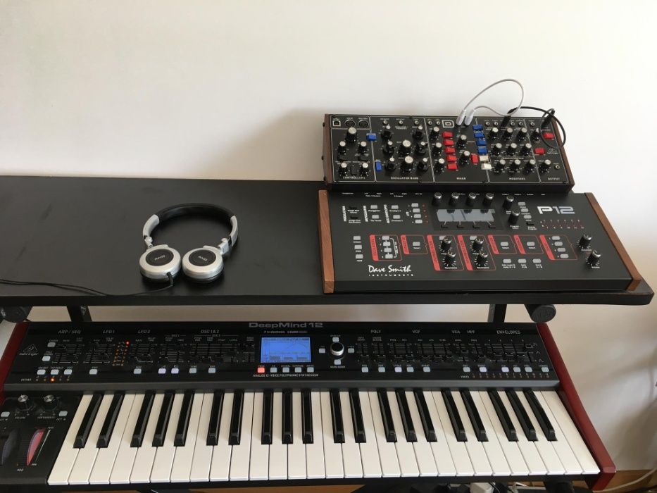 Dave Smith Instruments Prophet P12 Module