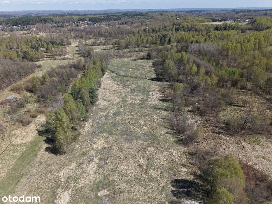 Działki budowlane w lesie - Widok 4