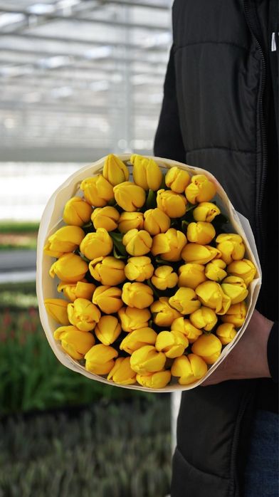 Тюльпани оптом, доставка букетів