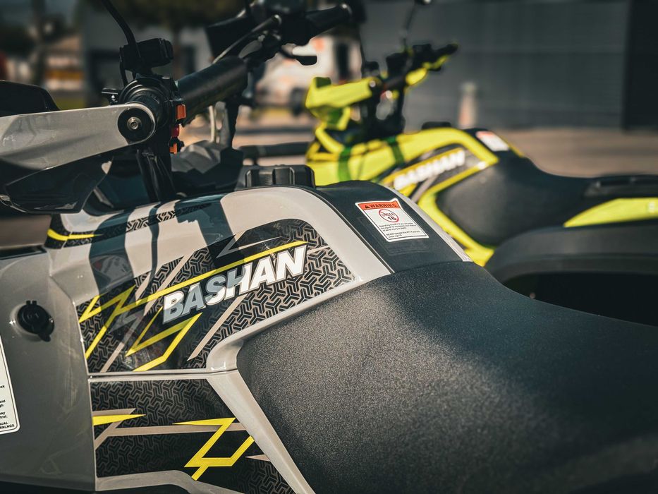 Квадроцикл Bashan Explorer330 EFI4х4 Артмото Суми з документами в МРЕО