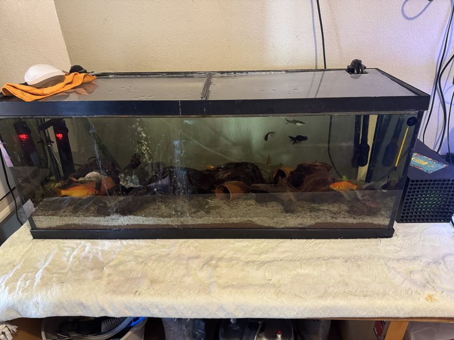 Aquario de 120 litros