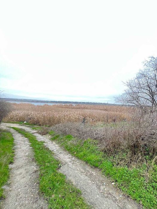 Продам дачу біля річки «Інгул» в чудовому мальовничому місті