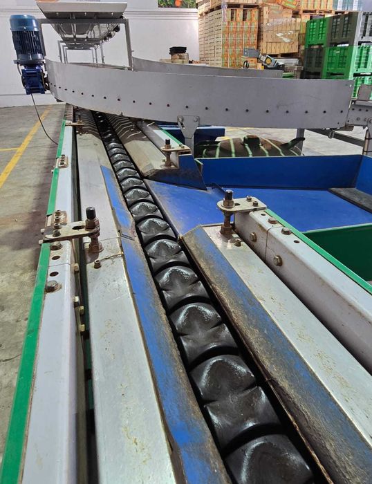 Máquina de Calibragem de Fruta – CalibraFruta