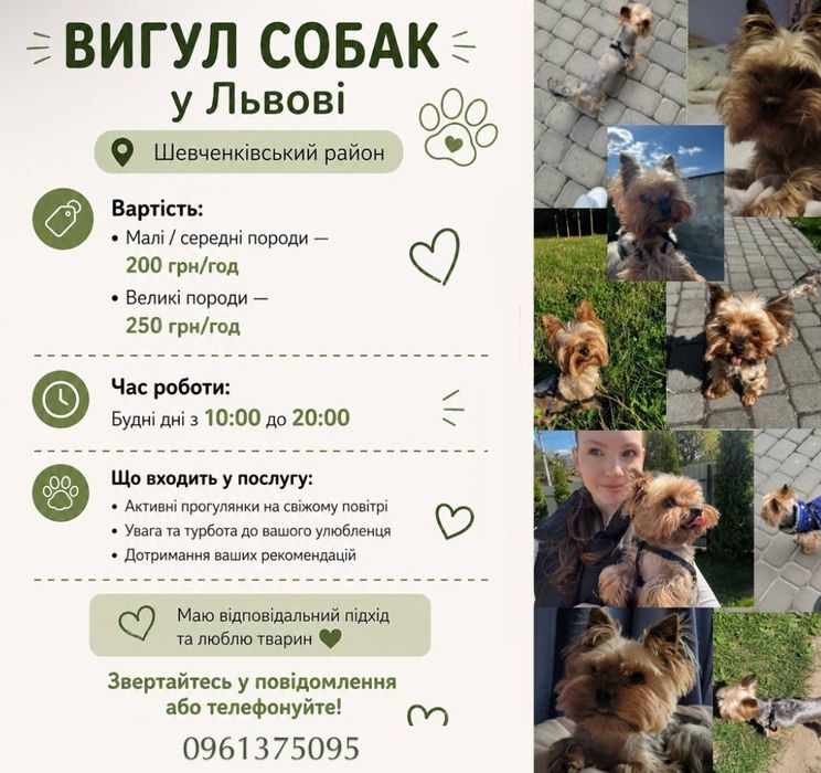 Вигул собак Львів Шевченківський район