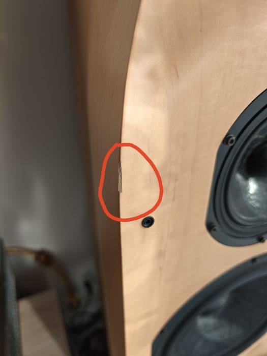 Kolumny T+A criterion TCI 1RE unikat