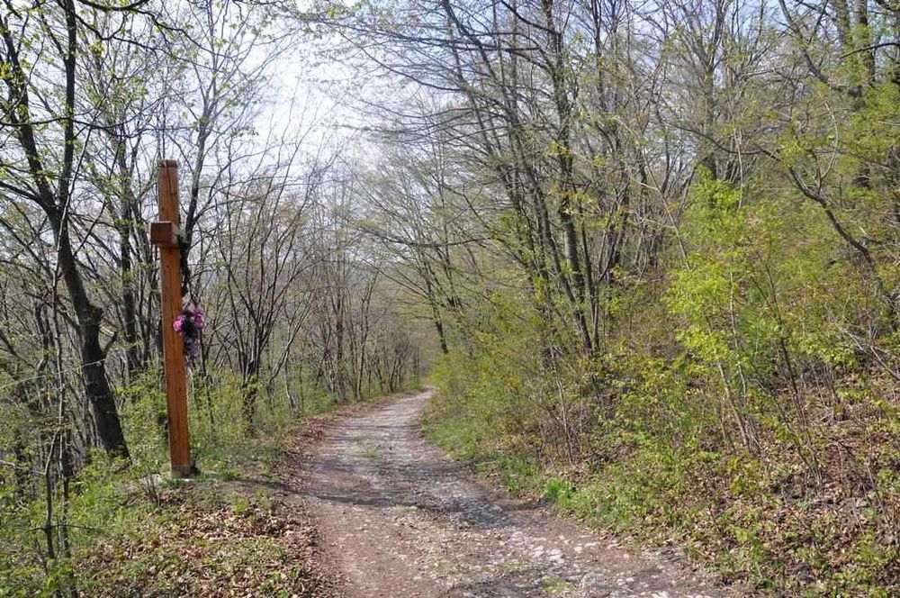 Domek k/Ojców, Park, ustronne, piękne miejsce, absolutna cisza