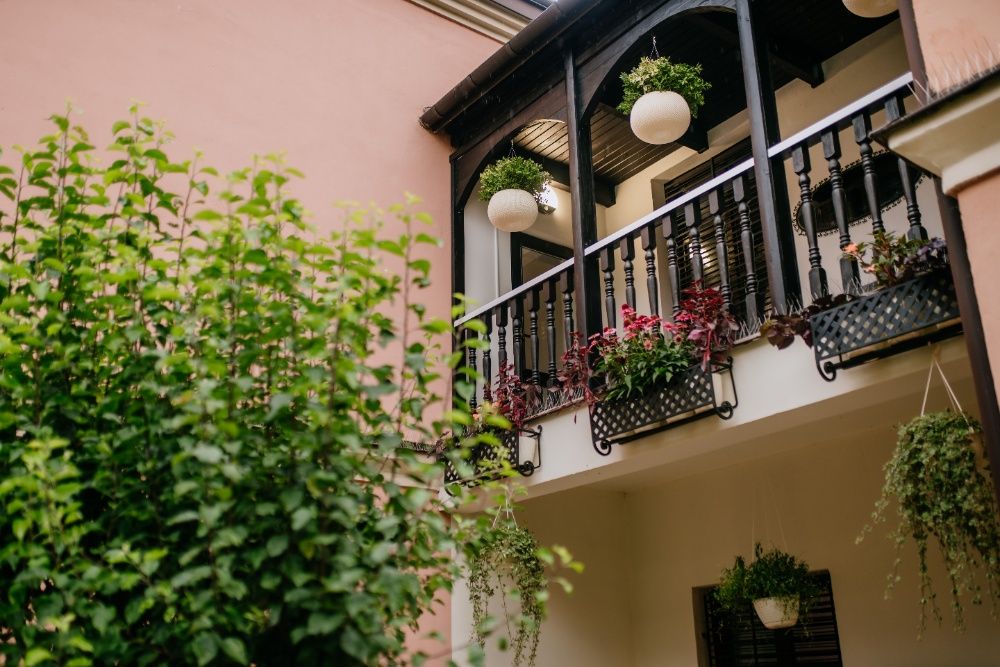 Apartament, Pokój - Centrum, Starówka Zamość