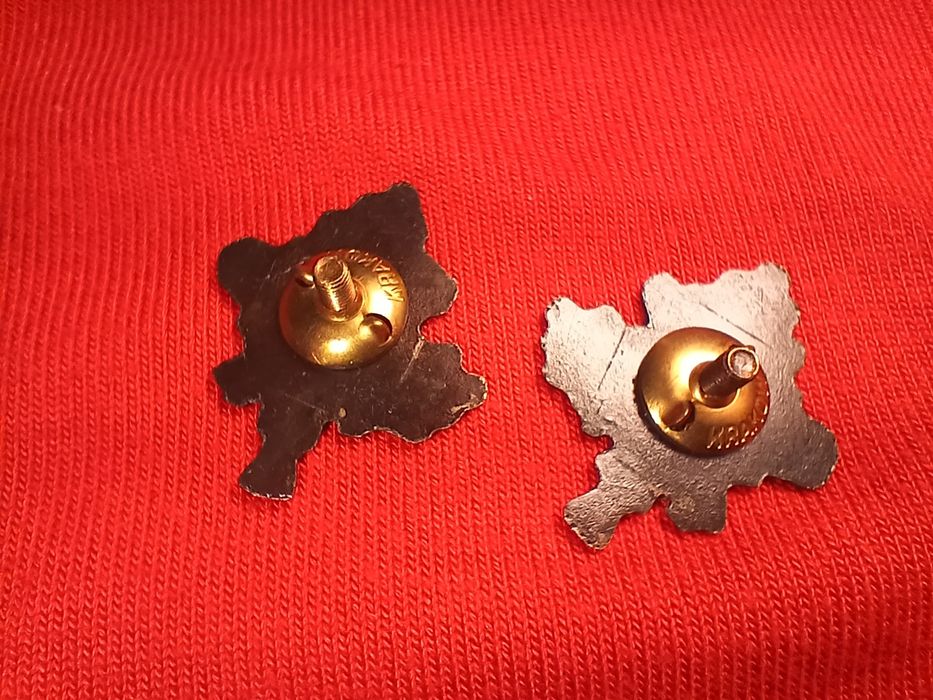 Korpusówki huculskie