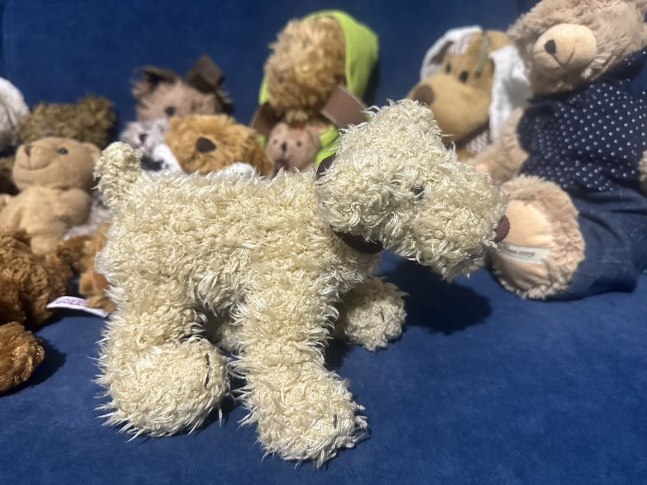 Kolekcja 20 misiów/pluszaków