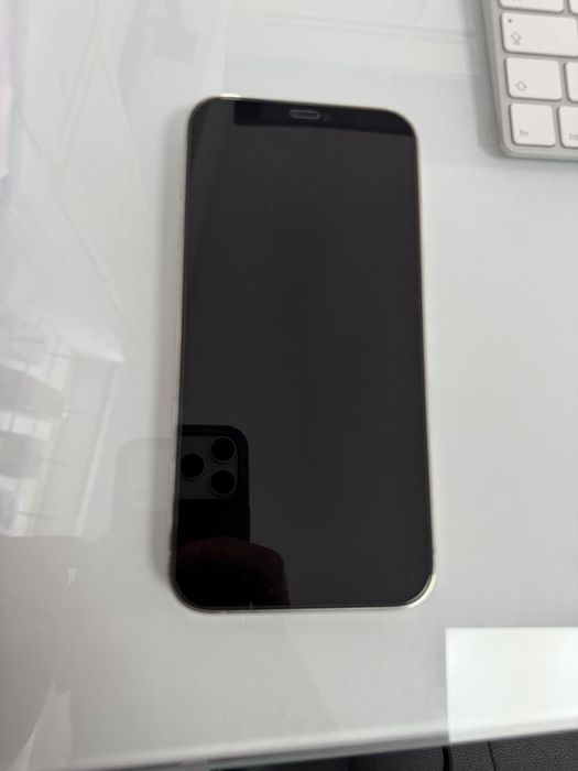 iPhone 12 Pro Max 256GB Branco
