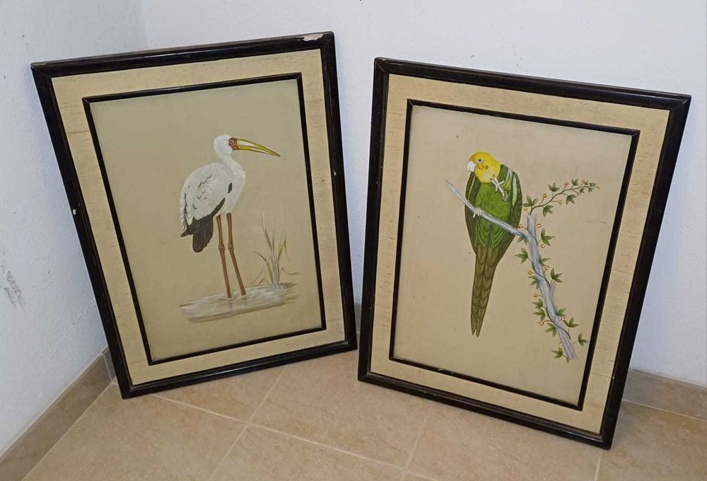 Quadros Aves (Antigos)