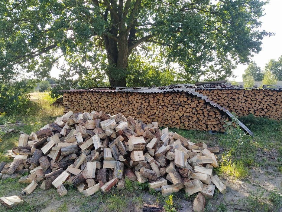 SUCHE! Drewno kominkowe/opałowe! DĄB GRAB BRZOZA AKACJA