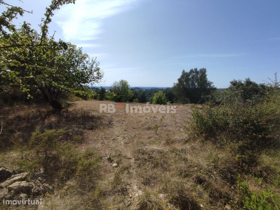 Terreno rústico com 4960m² - Sabrosa, Tomar