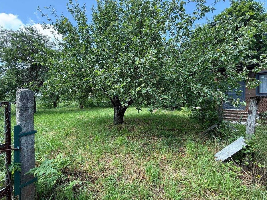 Продаж ділянки 67 соток під забудову. Огорожа. Електрика. Вода. ID:723 - View 6
