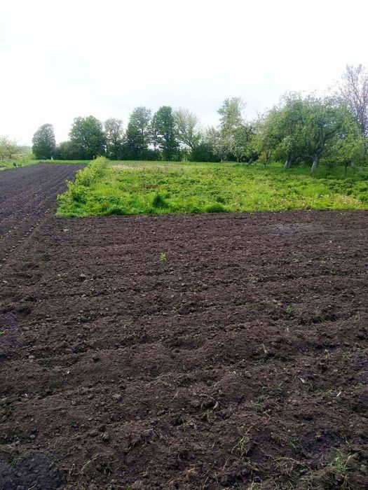 Будинок в мальовничому місці  €$