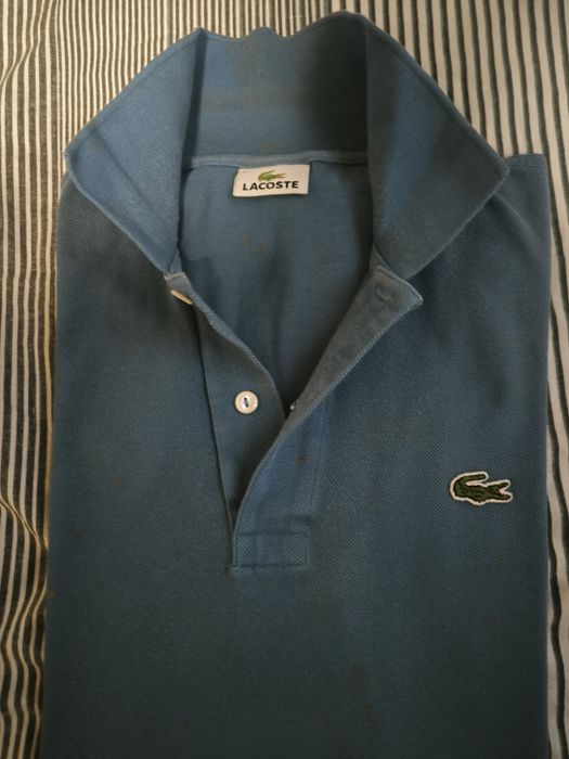 Polo lacoste tam 5
