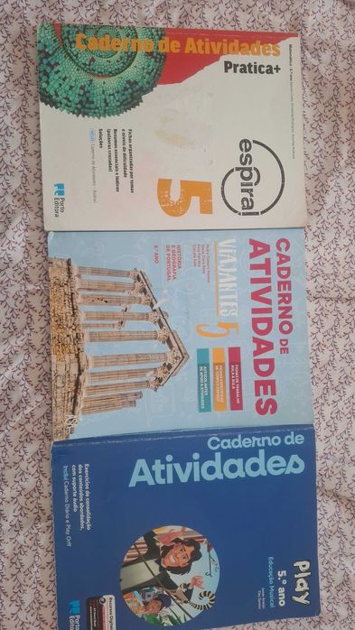Caderno atividade 5 ano Sá Couto 2025/2026