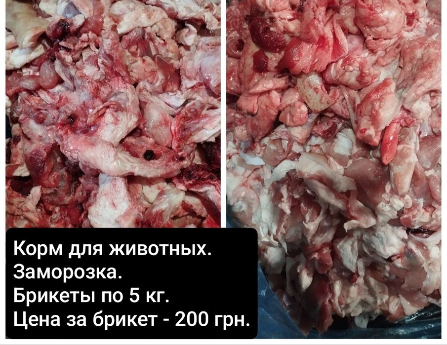 Мясо. Корм. Разное. Обрезки. Еда для животных.