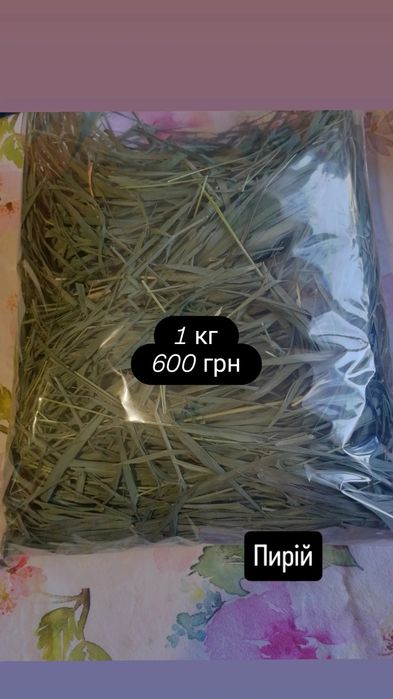 Сіно для гризунів