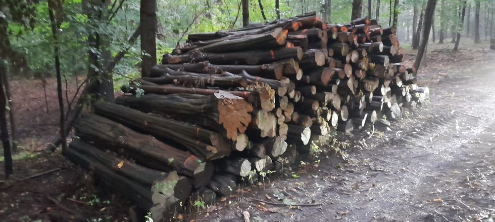 Drewno stosowe buk, jesion, jawor wałki kominkowe opałowe metry