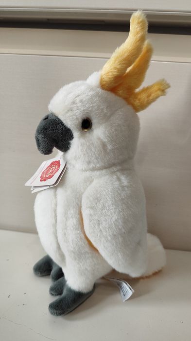 Попугай Teddy Germany