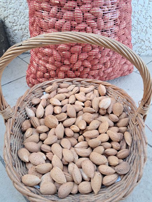 Venda de avelã e amendoa com casca
