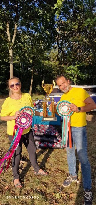 CANE CORSO pies z Najlepszej  Hodowli In Verto Corso FCI