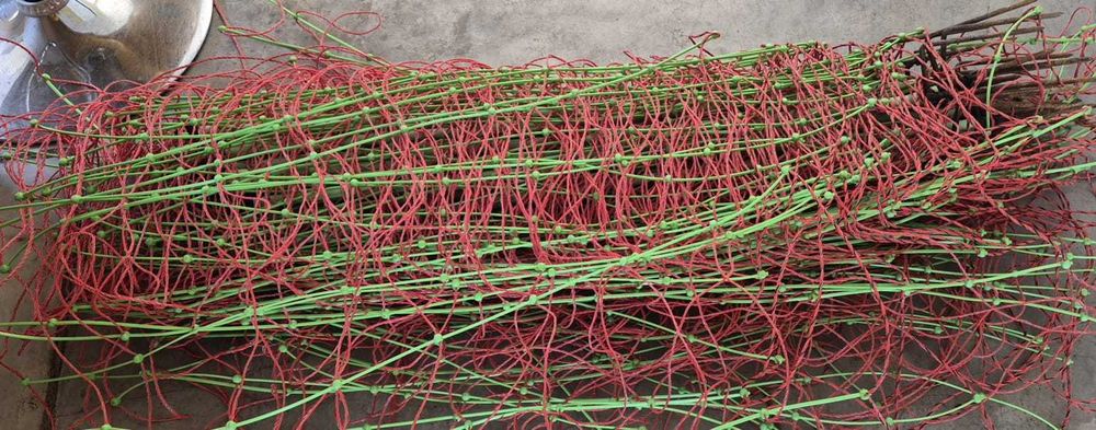 Oportunidade última - Rede cerca elétrica -VOSS.farming Euronet combinada de 50 m, h=90 cm- apoio duplo