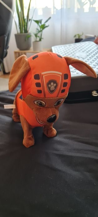 Cão  patrulha pata que anda