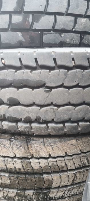 315/80/22,5 Sava Orjak 5