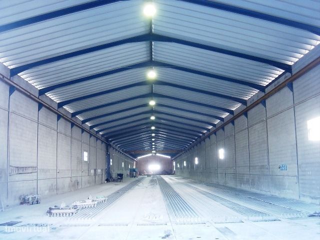 Armazém  Venda em Senhorim,Nelas