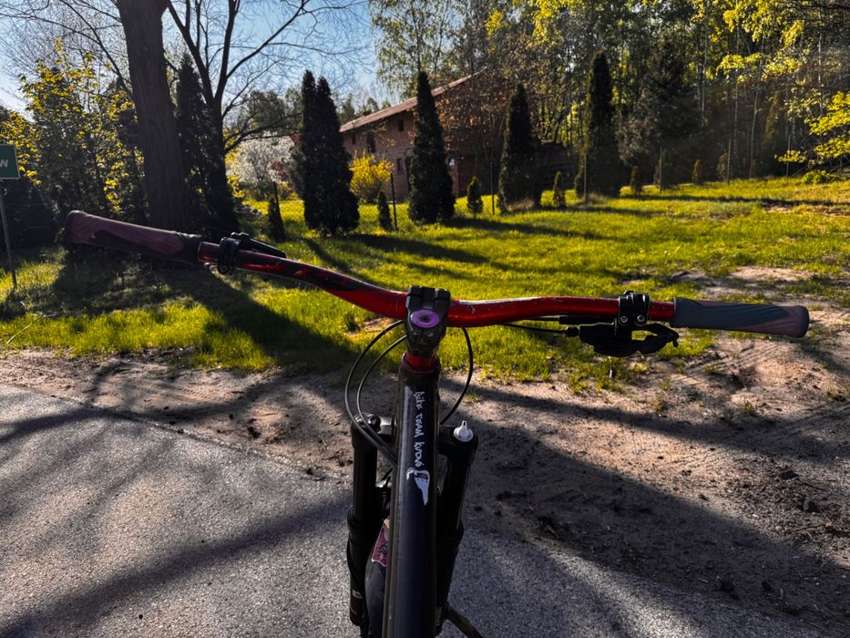 Dartmoor Hornet 2015