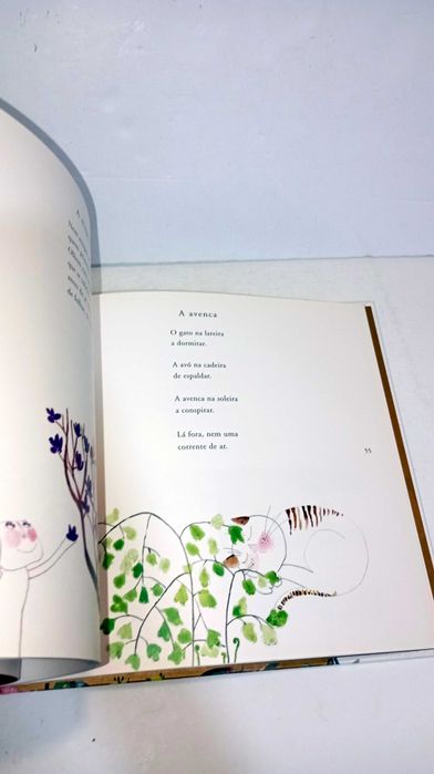 Herbário - Jorge Sousa Braga